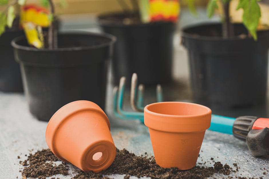 Seasonal property enhancement services